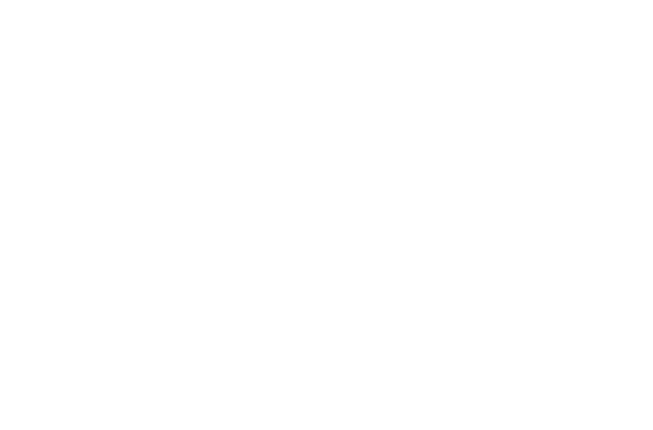 Stelleo